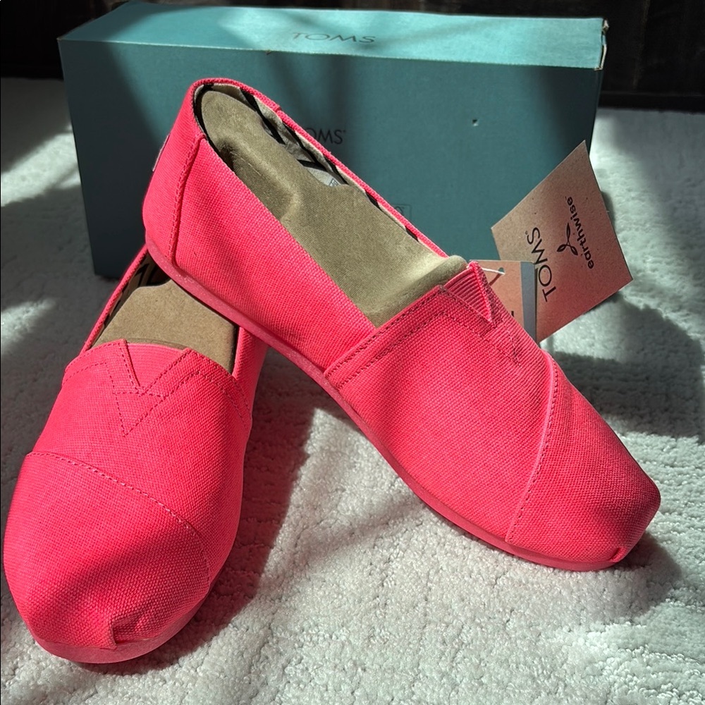 Toms Neon Canvas